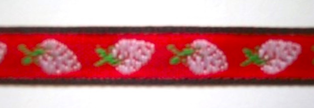 Red/White/Black Strawberries Jacquard